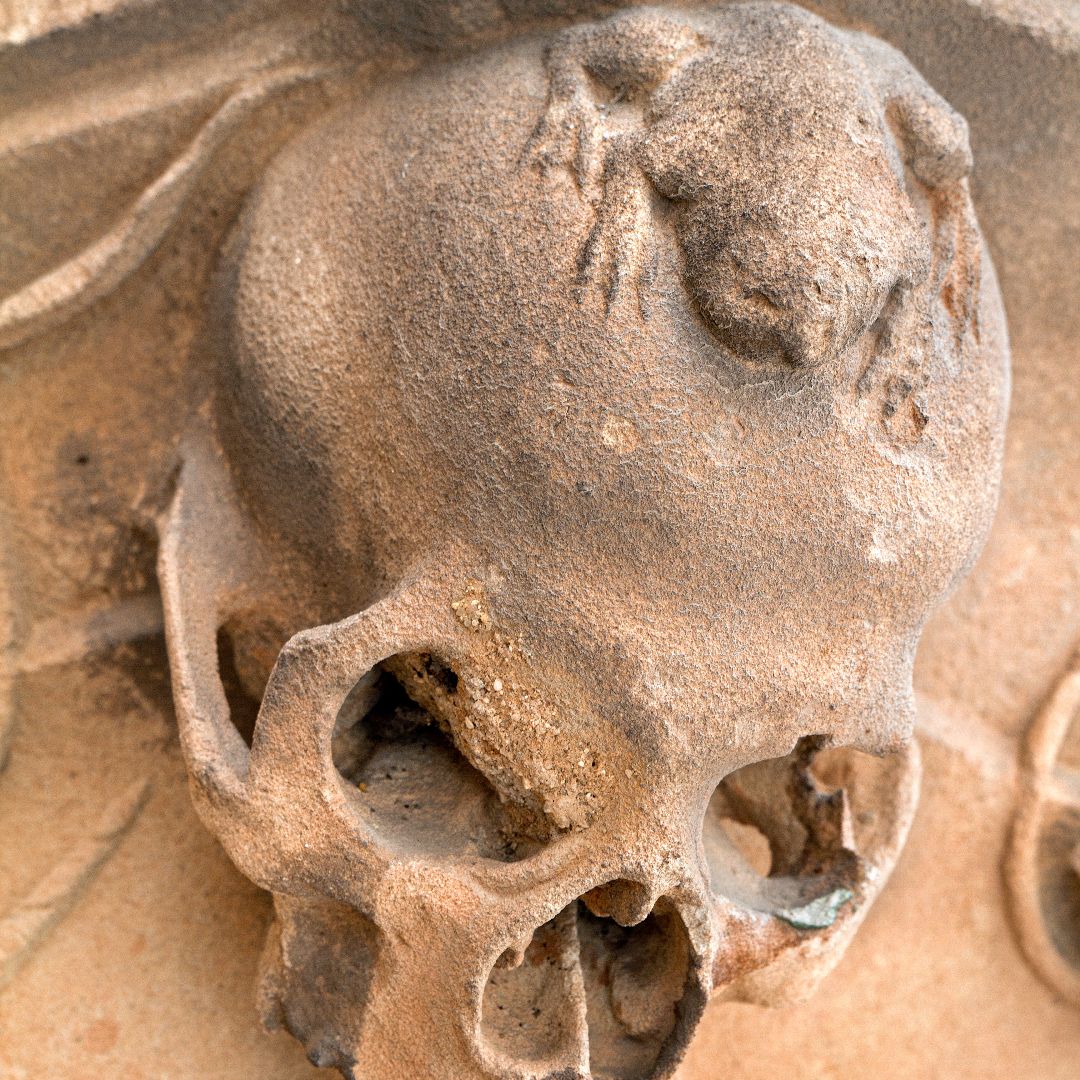 Rana dell'università di Salamanca