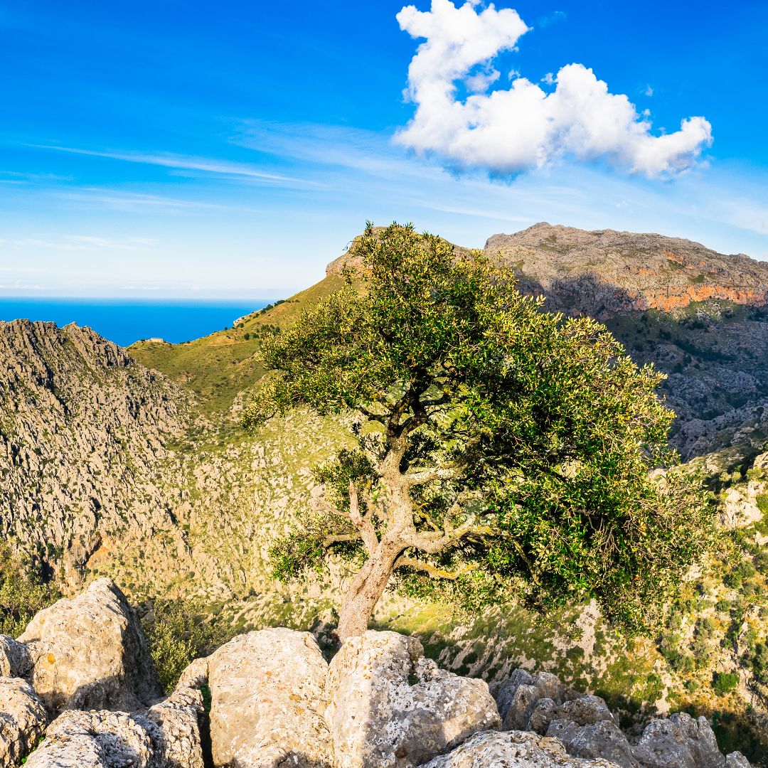 Sierra de Tramuntana, Maiorca, Espanha