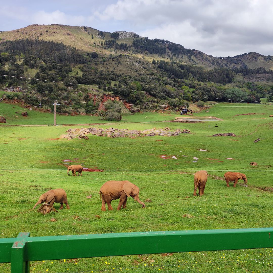Cabárceno Natural Park entrance, Cantabria