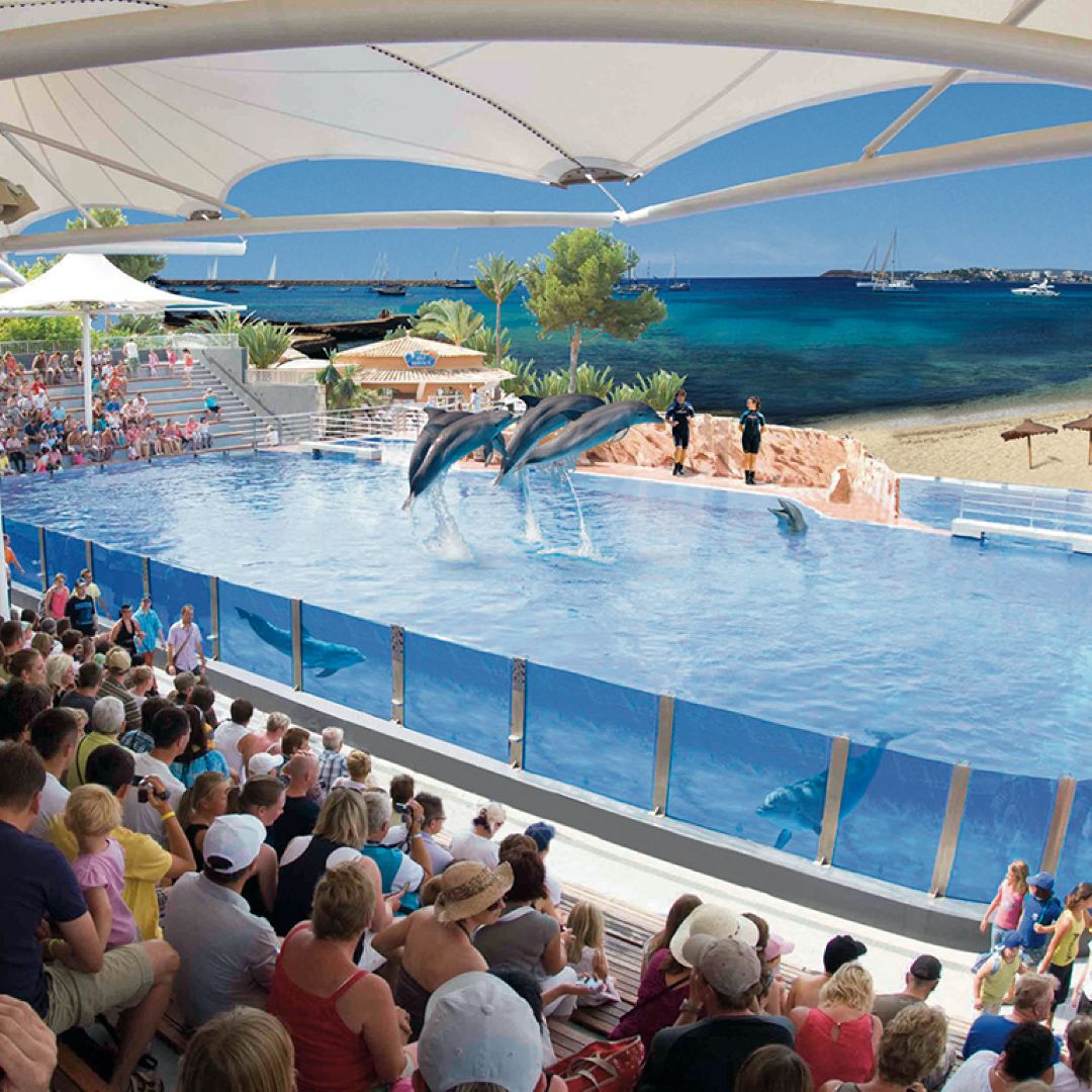 Marineland, Maiorca